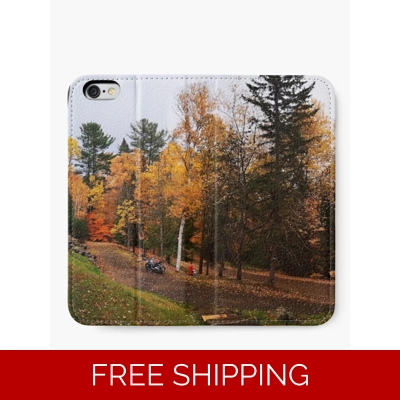 Le Studio Iphone Wallet October 2019 fall